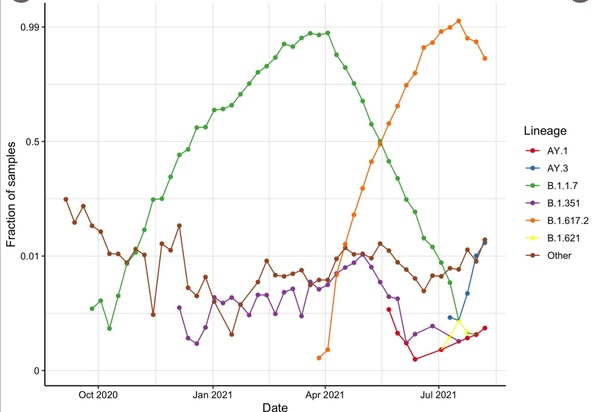 Data, Stats & Daily Numbers started 5th August 2021