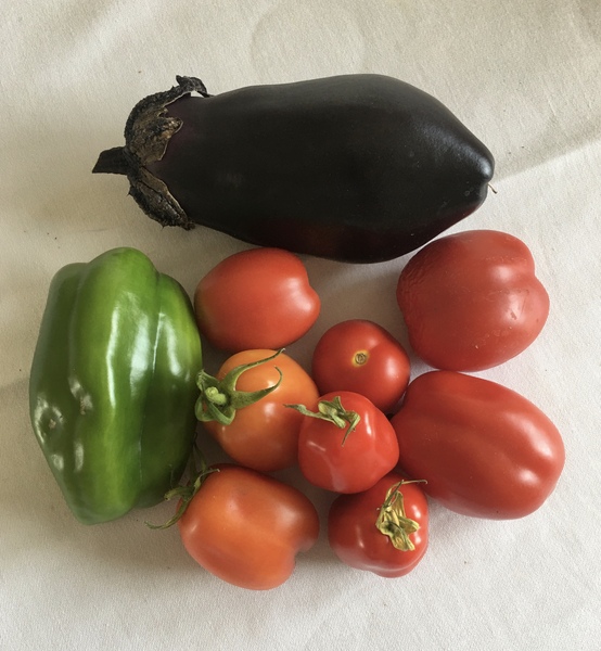 Allotment/Veg patch Thread 17 - onwards and upwards