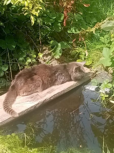 End of summer, time to let him go