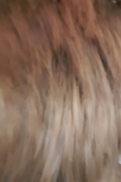 Red/ginger hair-what’s the big deal