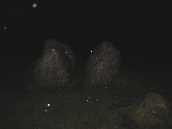 Any Witches Here? Part 14.