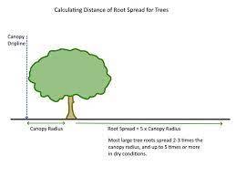 AIBU to think that people should have to get permission from all surrounding neighbors before cutting down a tree?