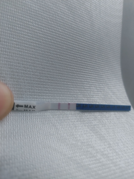 Is this a positive ovulation test?