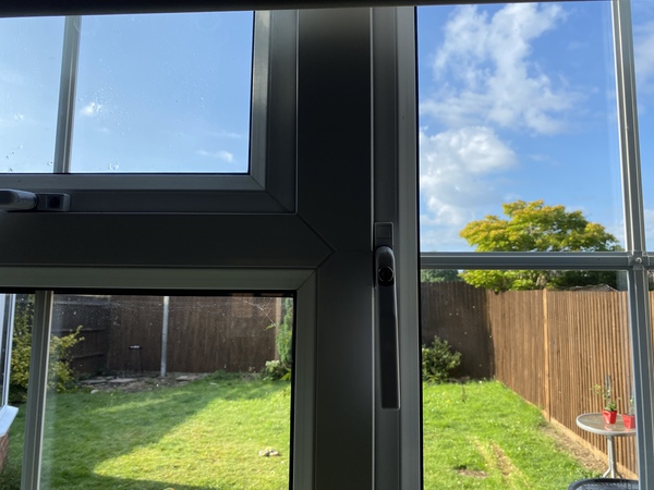 Help a total novice with new garden ?