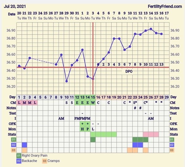 4 days of spotting but high temps? Any idea what's going on?