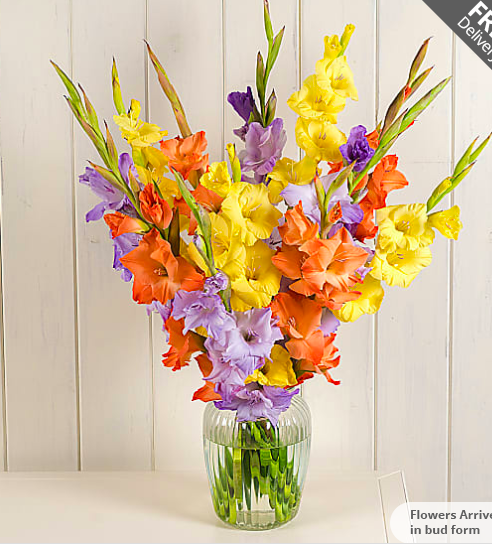AIBU - a bunch of gladioli is not a "bouquet"