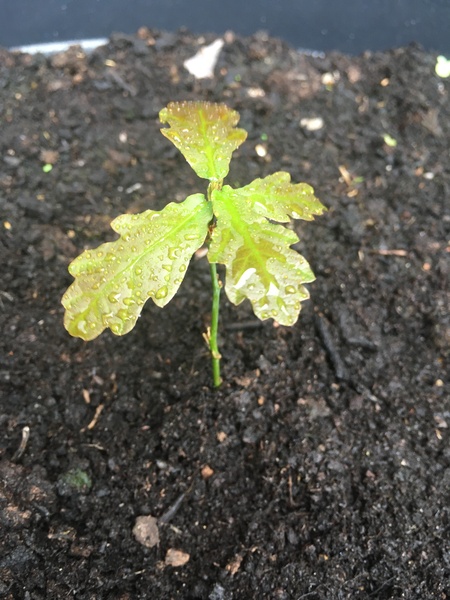 Any Witches Here? Part 14.