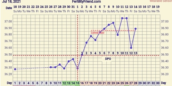 Ovulation twice in a cycle? Help with BBT chart