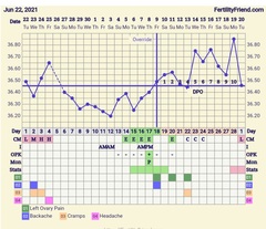 4 days of spotting but high temps? Any idea what's going on?