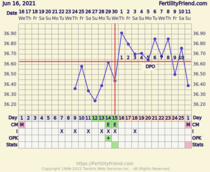 BBT chart advice