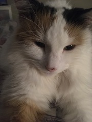 My beautiful girl