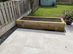 Novice note very active gardener what should I plant in my new raised beds?