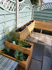 Complete novice...help me plant up