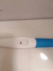 🦕 Catching up - ttc after miscarriage part 7 🦕
