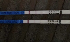 Negative and positive test results