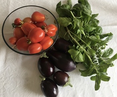 Allotment/Veg patch Thread 17 - onwards and upwards