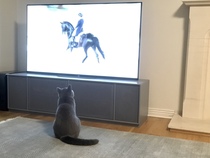 Please post cute pictures and tell me about your cats.