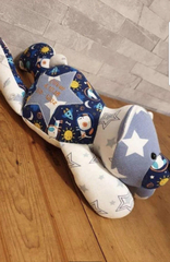 Due August 2021 - Welcome to the World!