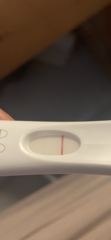 TTC - Ovulation