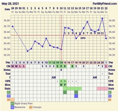 4 days of spotting but high temps? Any idea what's going on?