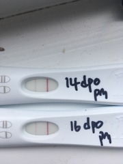 Nightmare FRERs - Line progression