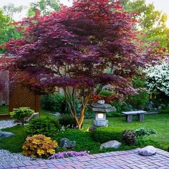 Can you help me with my front garden please?