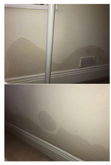 Help! Any damp detectives here?