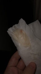 Is this my show? *****TMI PIC IN COMMENTS*****