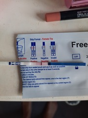 Pregnancy test