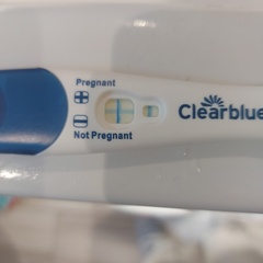 🦕 Catching up - ttc after miscarriage part 7 🦕