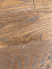 Hardwood flooring totally ruined by tradesman