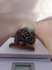 ADs don't want your freedom, ADs don't want to play around