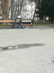 Strangest thing you've seen someone do in public?