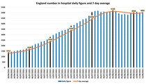 Data, Stats & Daily Numbers started 5th August 2021