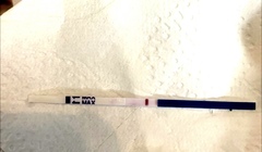 Can you see a line?!