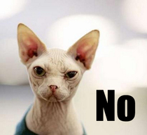 Friend wants to move in for 'a few months..'