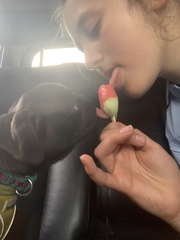 Should dogs be allowed in more places?