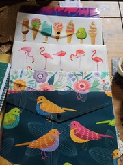 Is there a specific Mature Study & Retraining board?