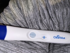 Reliable clear blue easy to read tests  ?