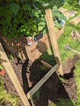 *PICS* Complete novice with a blank slate garden