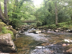 Any Witches Here? Part 14.