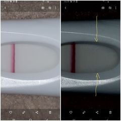 Pregnancy test- faint lines