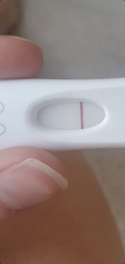 TTC after miscarriage