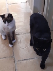 What's your DCat up to today? (Thread 8)