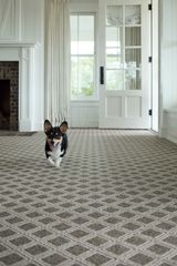 Plain or pattern carpet?