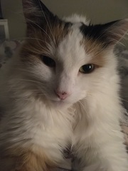 My beautiful girl