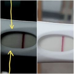Pregnancy test- faint lines