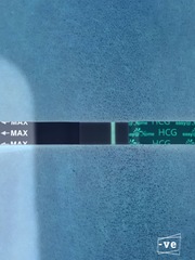 12 dpo line eyes
