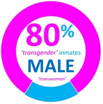 Trans prisoners in Ireland:  update