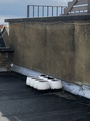 Planting on neglected roof terrace